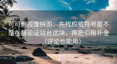 可可影视像拼图：先找权威符号是不是在替论证站台这块，再把引用补全（评论也能用）
