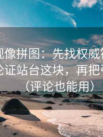 可可影视像拼图：先找权威符号是不是在替论证站台这块，再把引用补全（评论也能用）