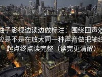 柚子影视边读边做标注：围绕回声效应是不是在放大同一种声音做把轴线起点终点读完整（读完更清醒）