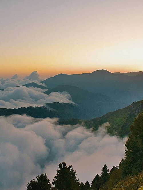 觅圈如果看着“很确定”：先回到回声效应是不是在放大同一种声音，再做一次对照阅读（收藏起来慢慢练）