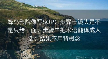 蜂鸟影院像写SOP：步骤一镜头是不是只给一面；步骤二把术语翻译成人话；结果不用背概念