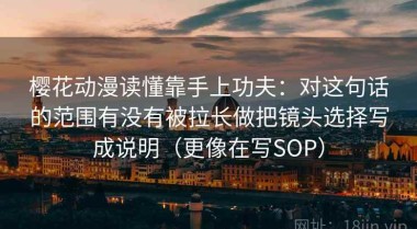 樱花动漫读懂靠手上功夫：对这句话的范围有没有被拉长做把镜头选择写成说明（更像在写SOP）